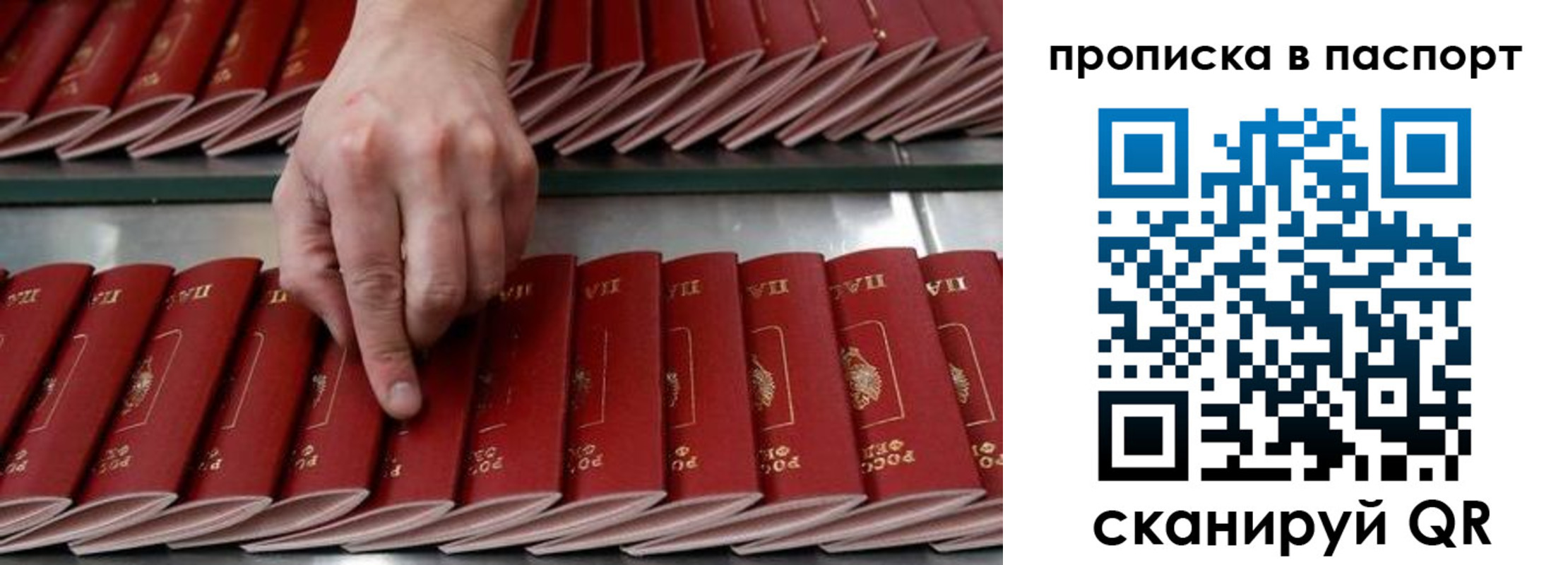 регистрация для школы в Рязанской области
